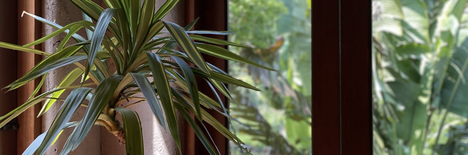 millertay1's profile banner image