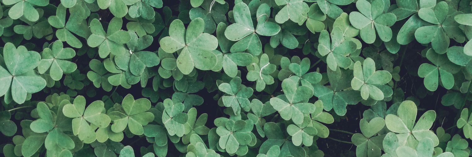 cloverk3ys's profile banner image