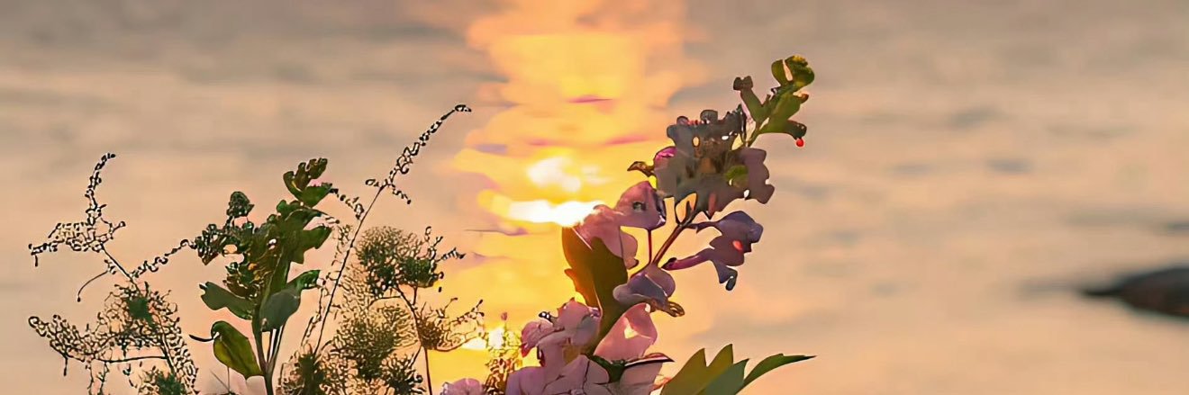 WoX5c's profile banner image