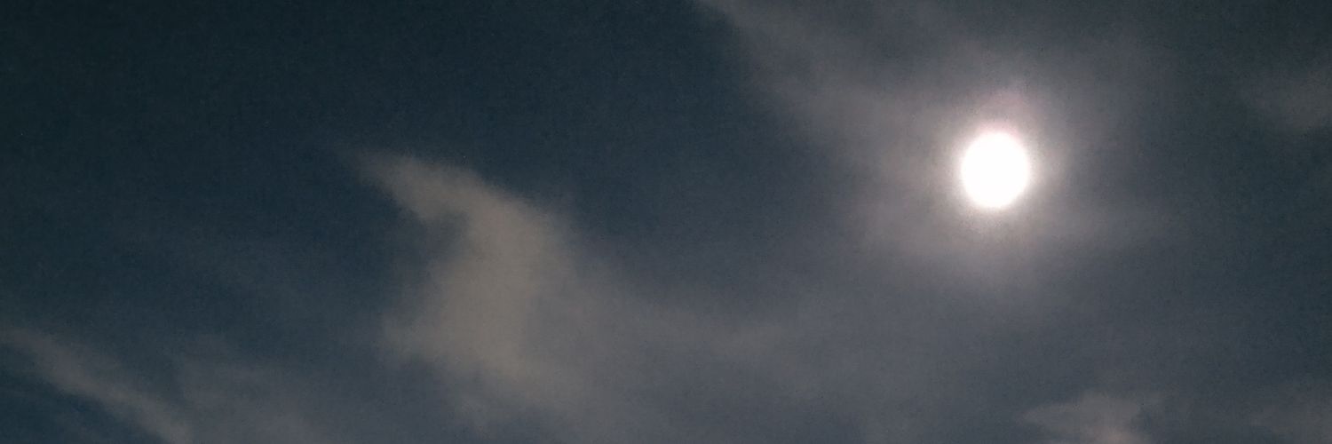M35733045's profile banner image