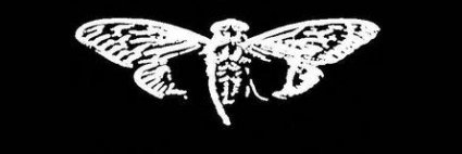 FNRINTA's profile banner image