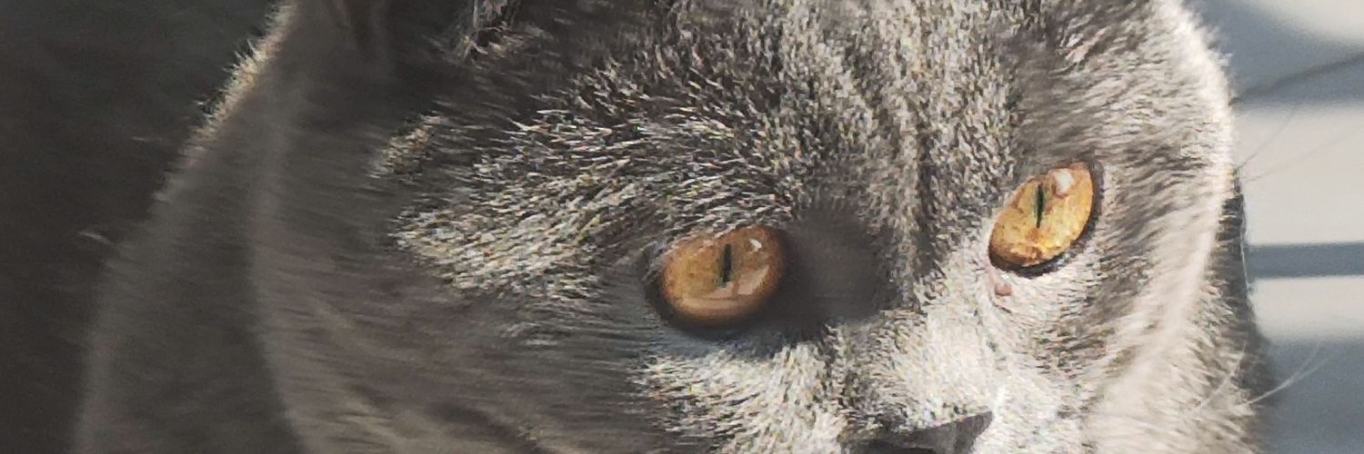 INKGLASSES's profile banner image