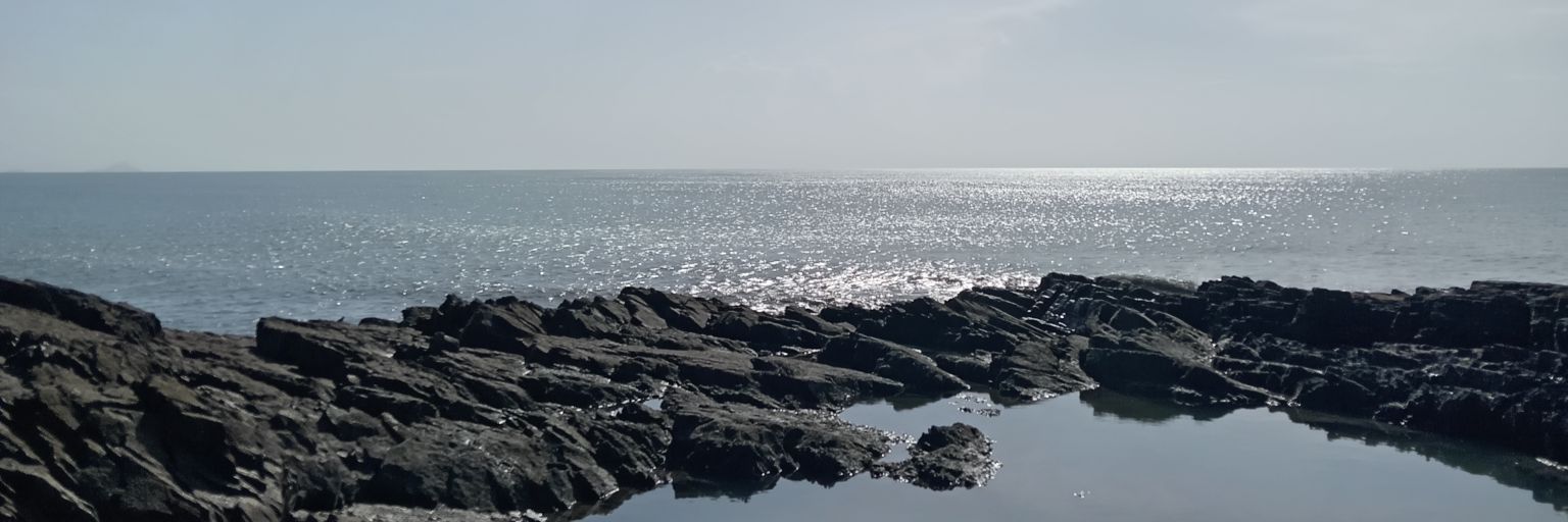 stfss14's profile banner image