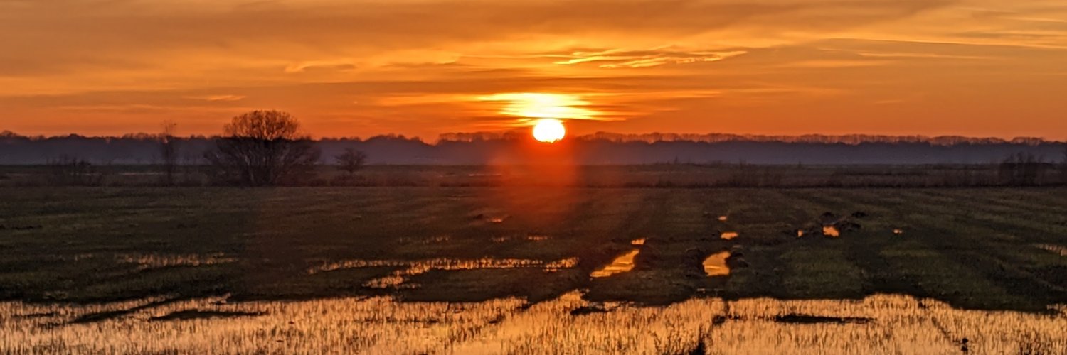 RHoogenboom's profile banner image