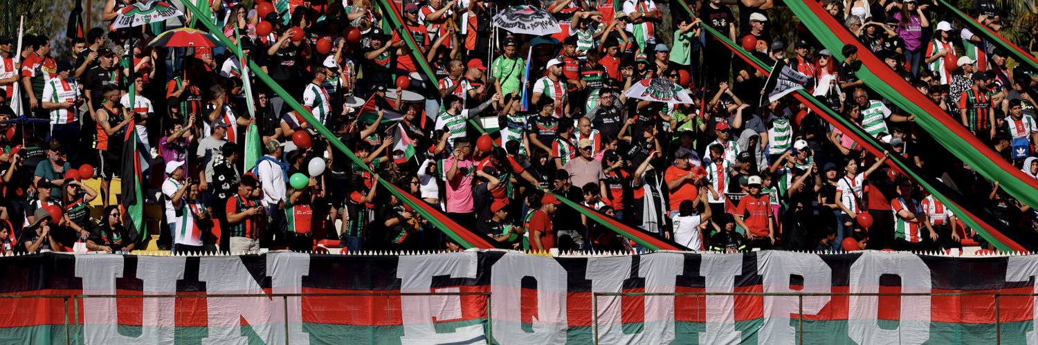 Club Deportivo Palestino banner