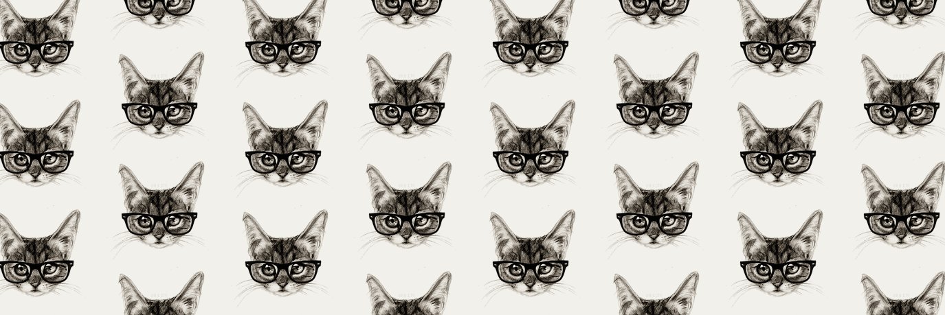 KellyyMaee's profile banner image