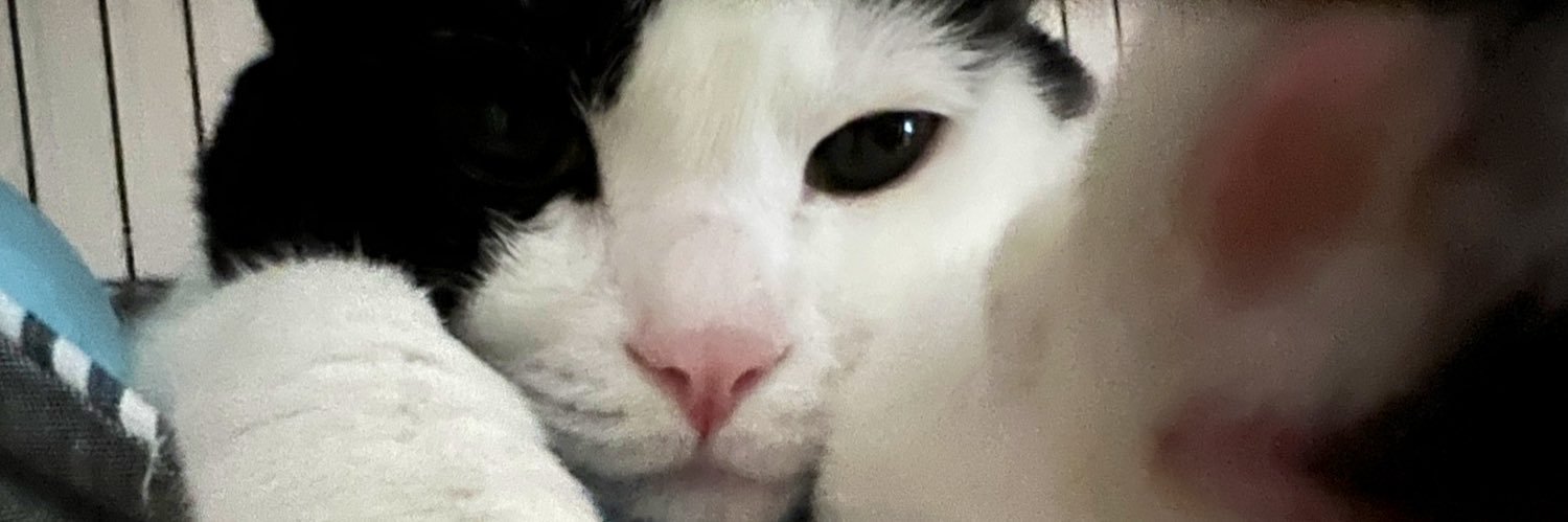 siosabaaaa's profile banner image
