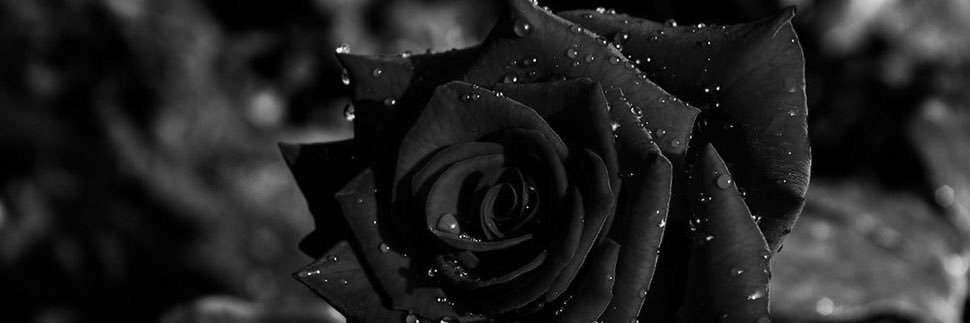 chantaljasma's profile banner image