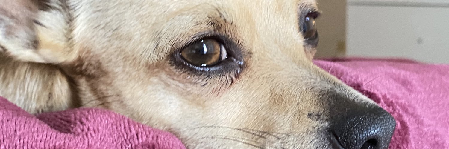 MarijoPantoja2's profile banner image