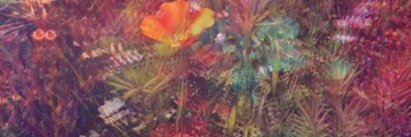 highvibegypsy's profile banner image