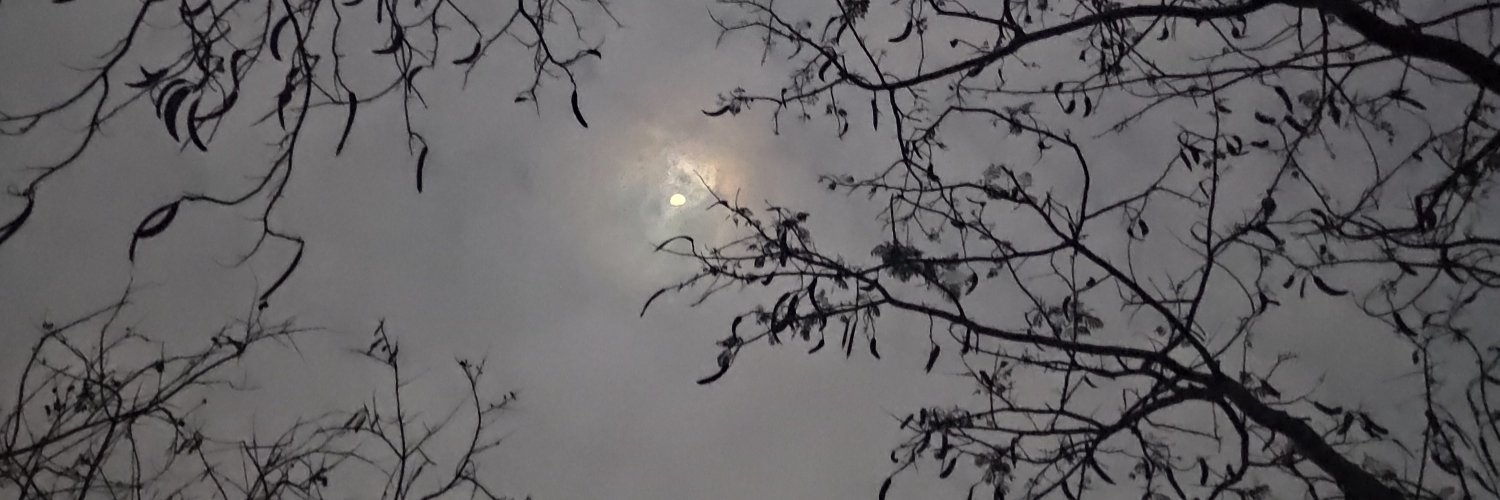 RutaChitale's profile banner image