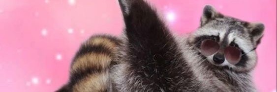 chocopow_'s profile banner image