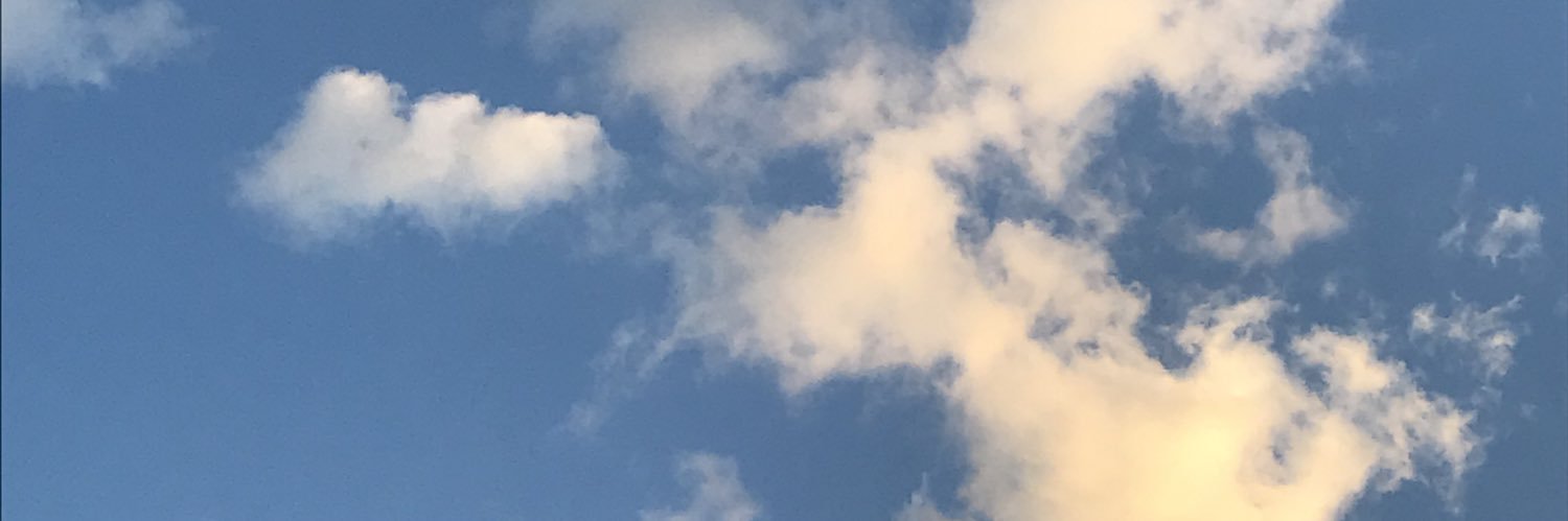 natalota7's profile banner image