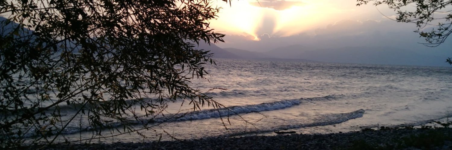 Mehmet Tunçel banner