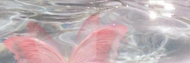 Thememoryisare1's profile banner image
