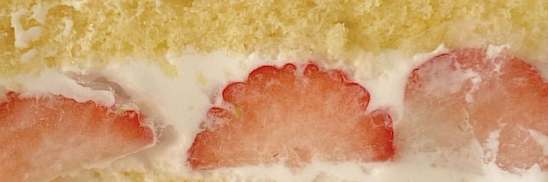 this_those_that's profile banner image