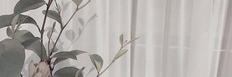 interpretesonia's profile banner image