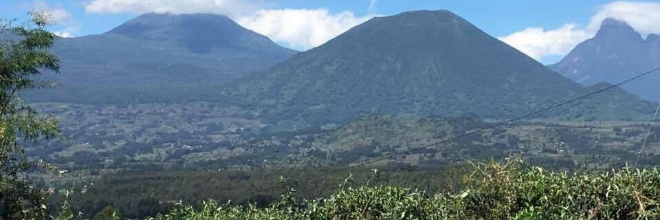LilianeMutuye's profile banner image