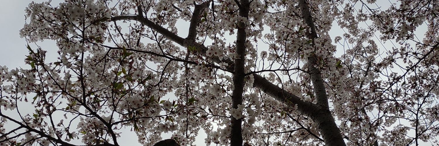 a116_y's profile banner image