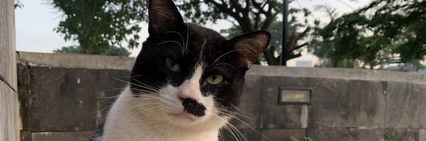 al_faans's profile banner image