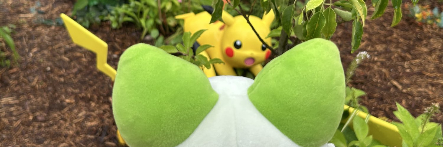 pokesleeeeeep's profile banner image