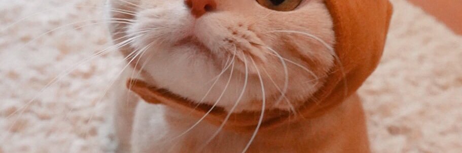peipei 🍑 banner