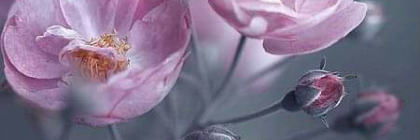 Mudassi05928965's profile banner image
