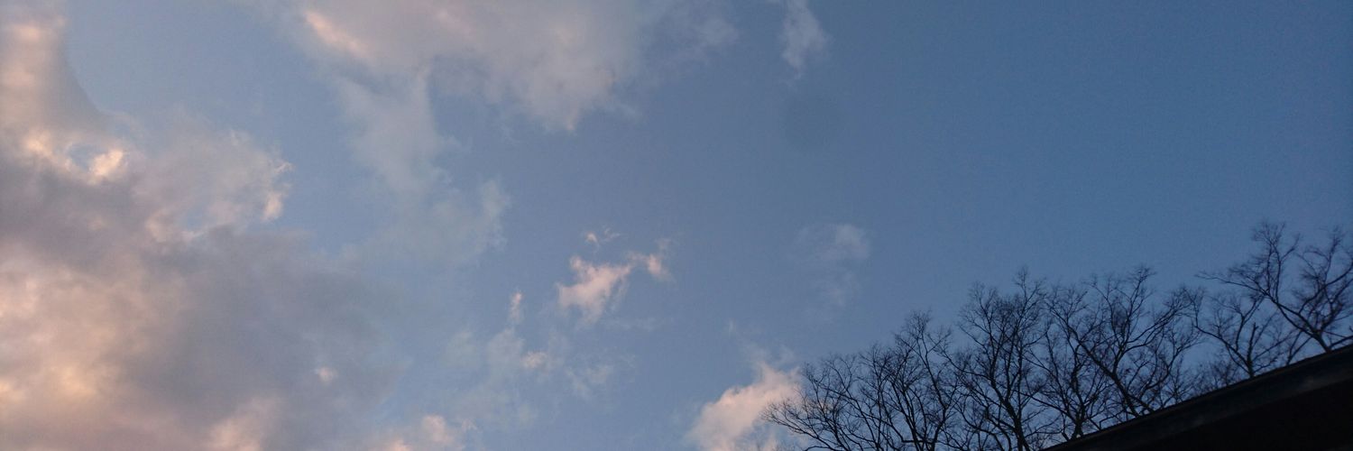 119Hmnp's profile banner image