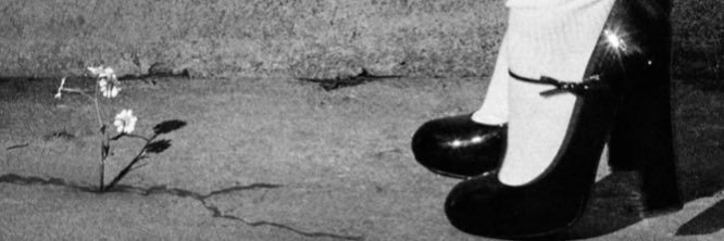 á ⁸ banner