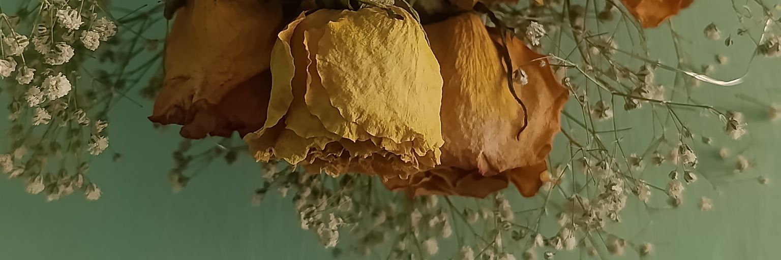 SartiVal's profile banner image