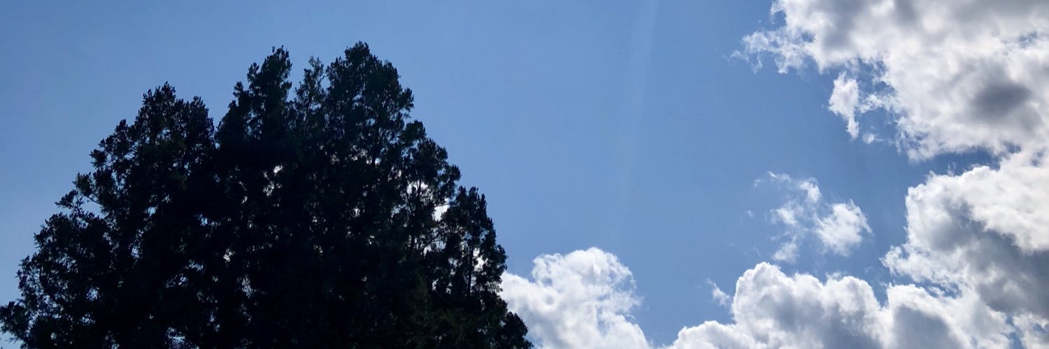 ichigohabanero's profile banner image
