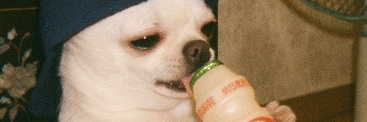 poomp0om's profile banner image
