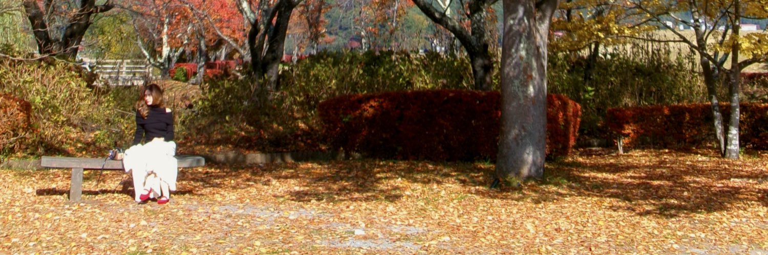 annisadiaana's profile banner image