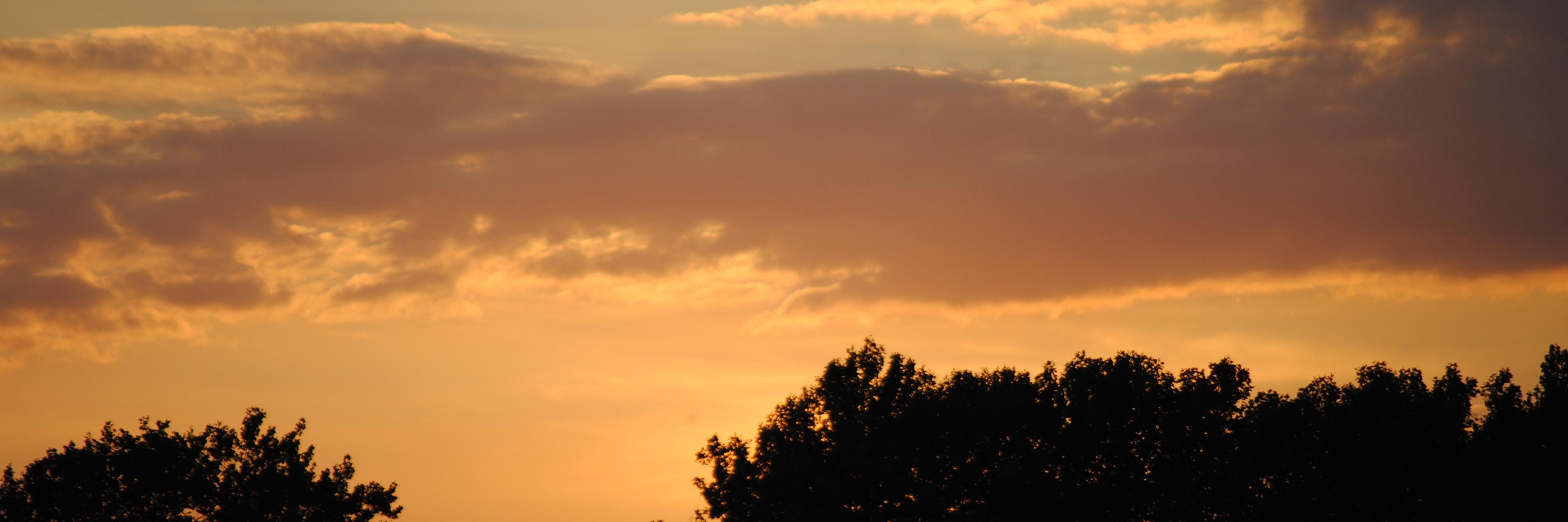 Inversive's profile banner image