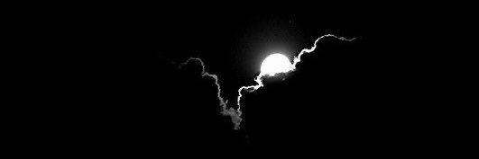 12 follow back banner