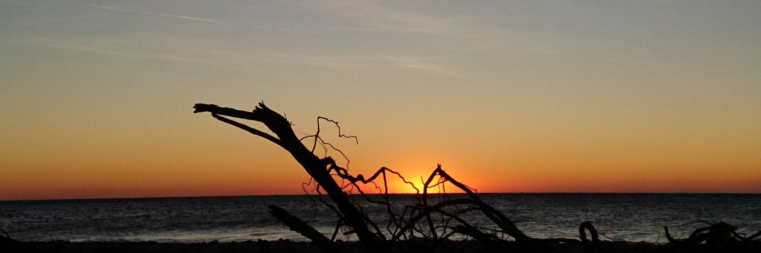 Arabella Ghezzi banner