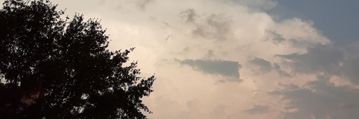 rydu_x's profile banner image