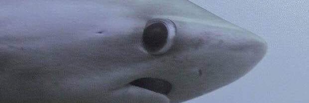 Shane_TMN's profile banner image
