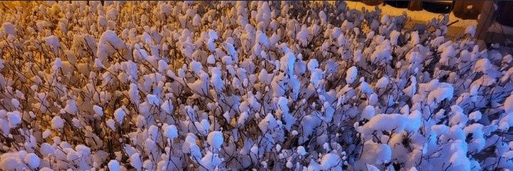 nncciipp's profile banner image