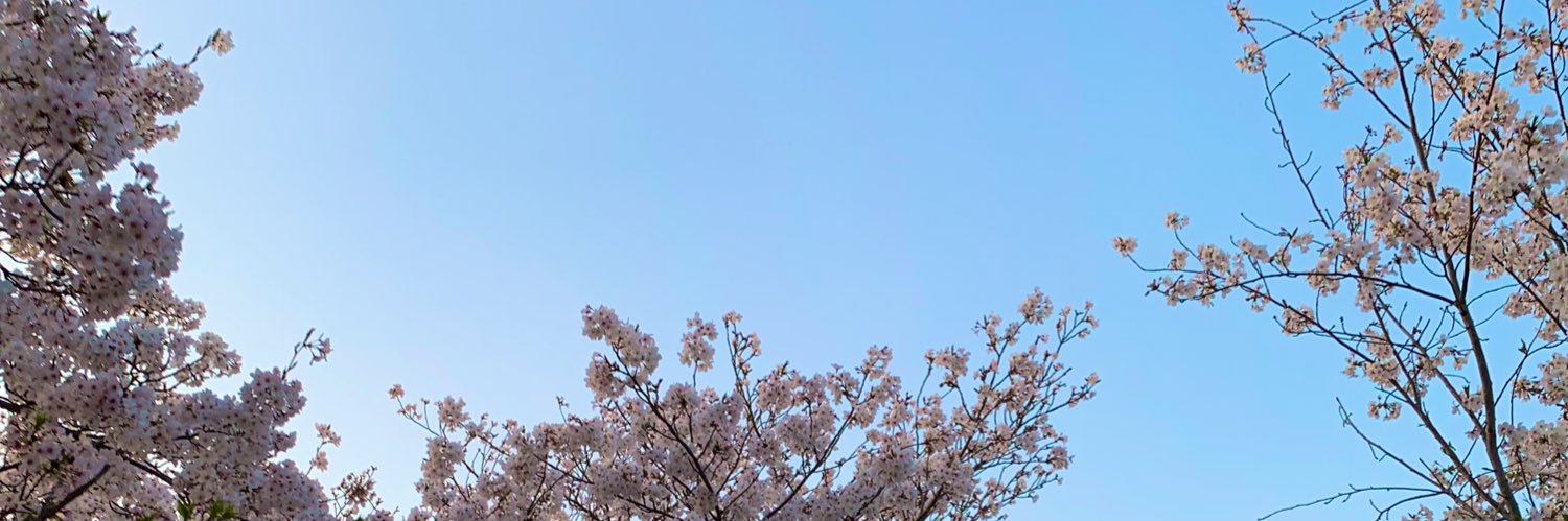 torikaitai's profile banner image