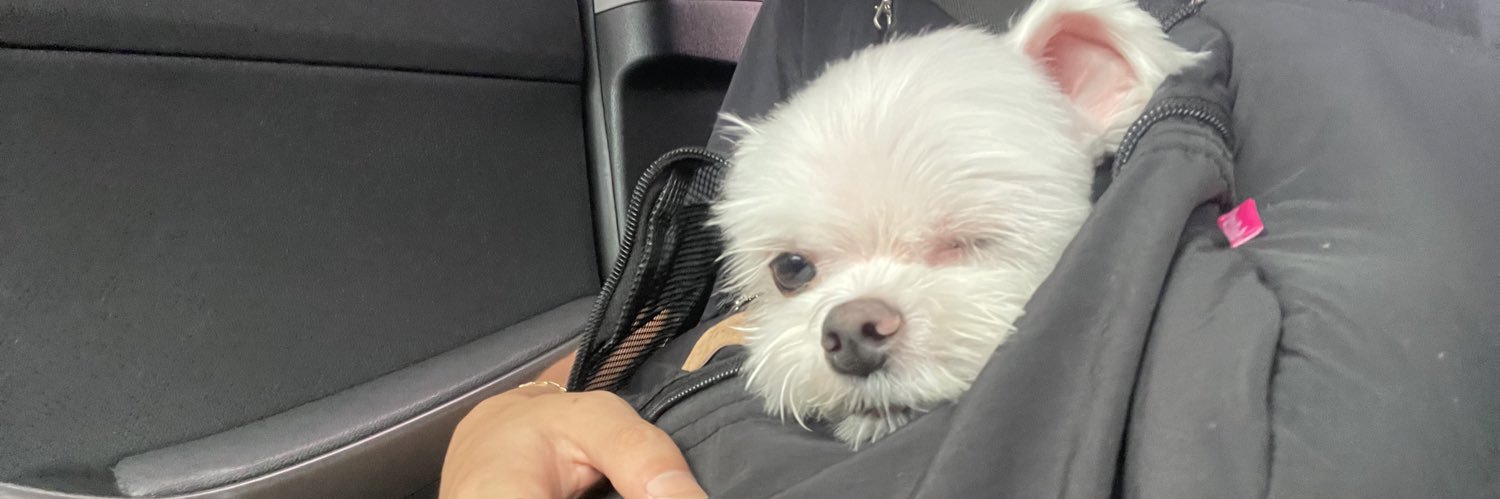 wooky97's profile banner image