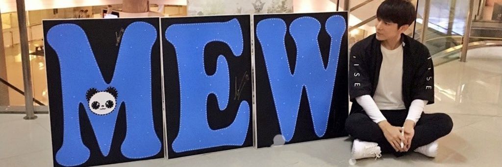 MewMiuMew's profile banner image