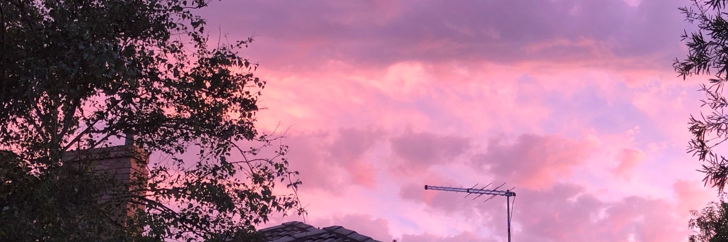 BiancaPleming's profile banner image