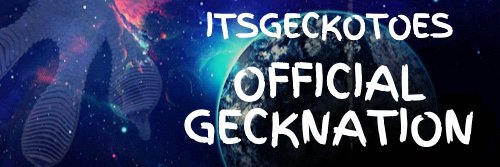 IGeckotoes's profile banner image