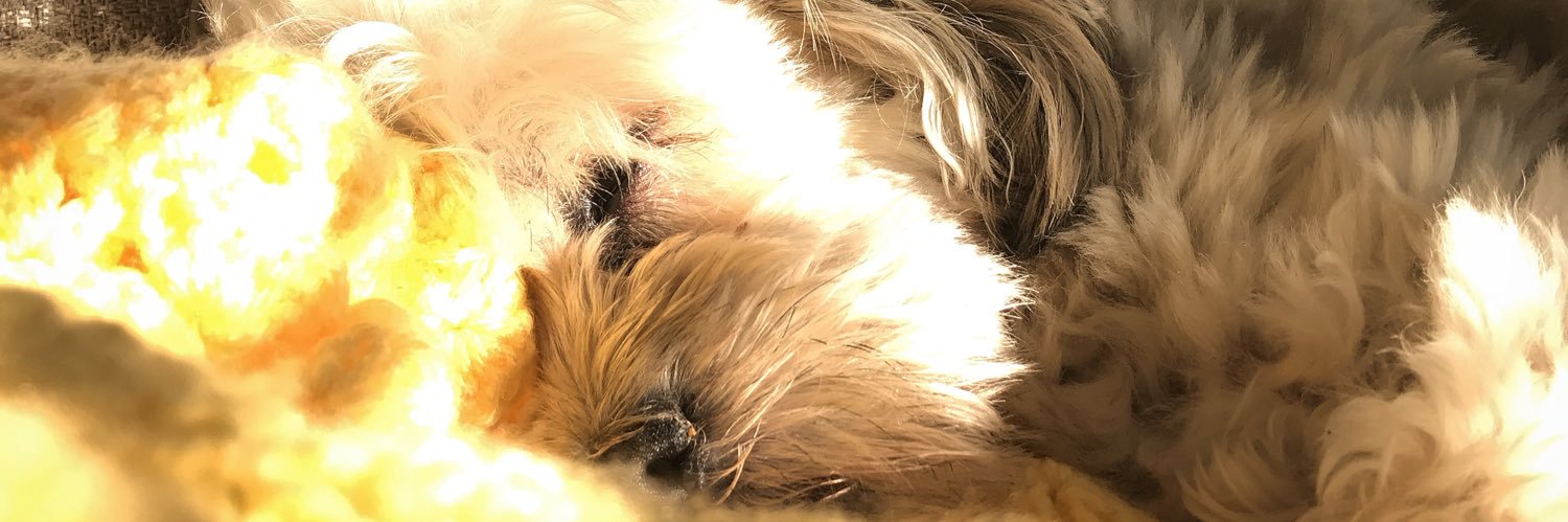 SydClare's profile banner image