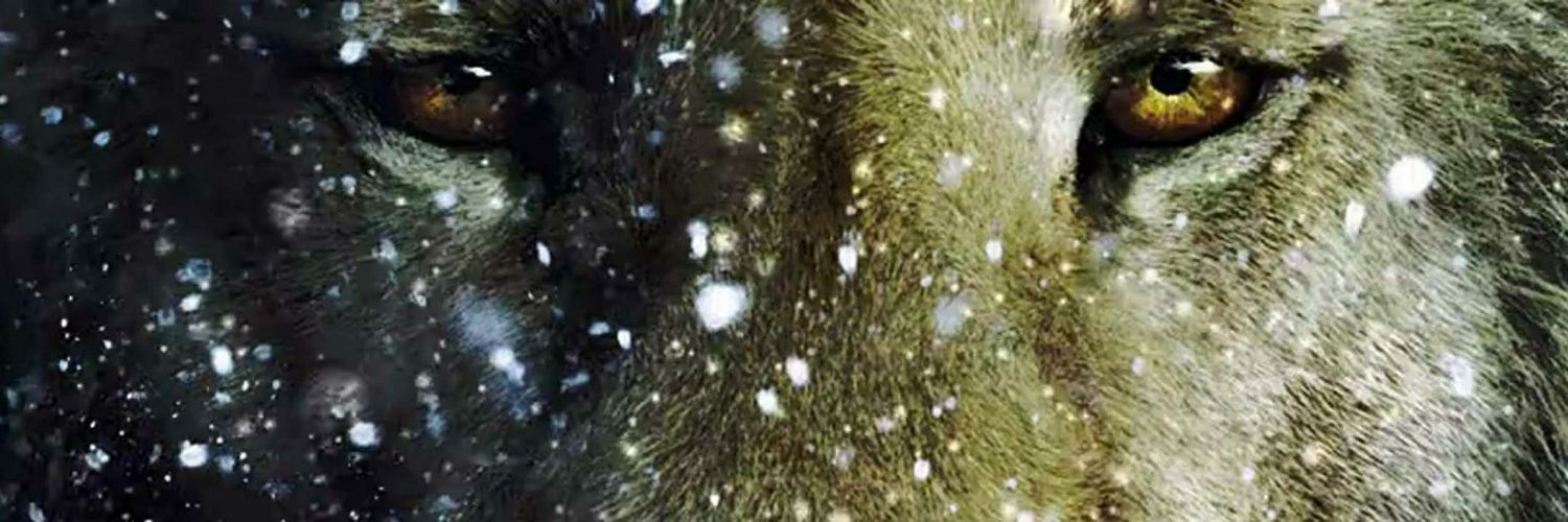 BrianRam21's profile banner image