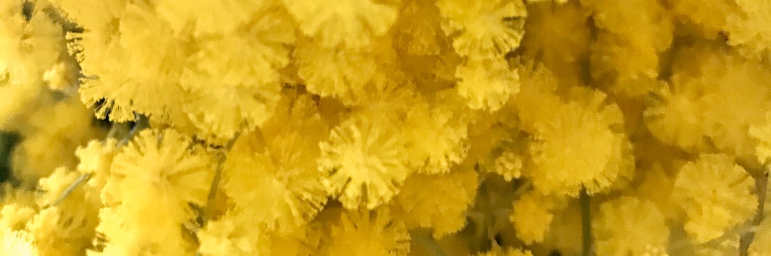 LAIABD's profile banner image