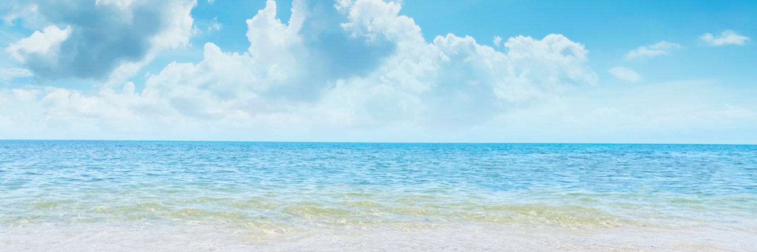 Momoko_Lopez's profile banner image