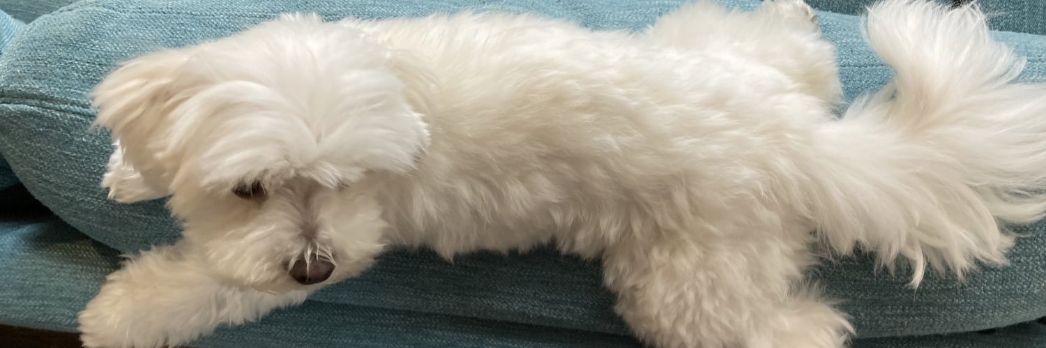 pepenbing's profile banner image