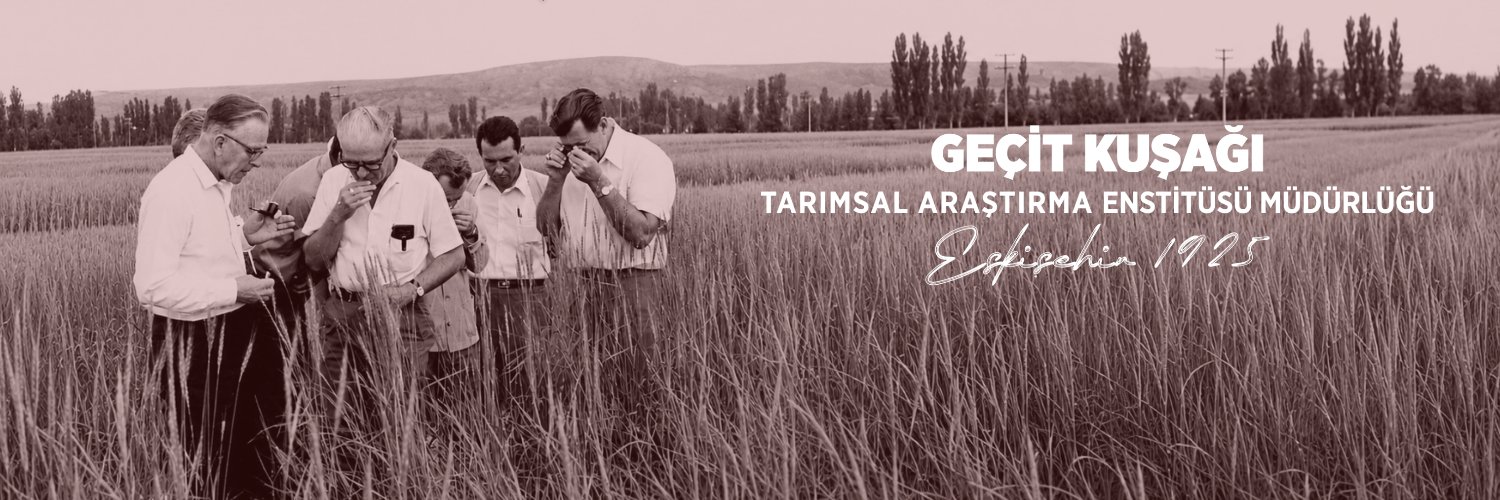 gktaem's profile banner image